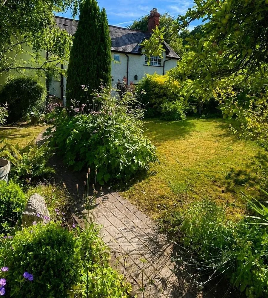 Fountain Road, Selborne, GU34 photo 13