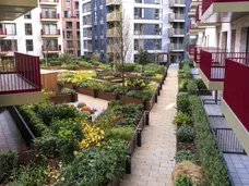 Momento Elephant  Castle London SE17 photo 14