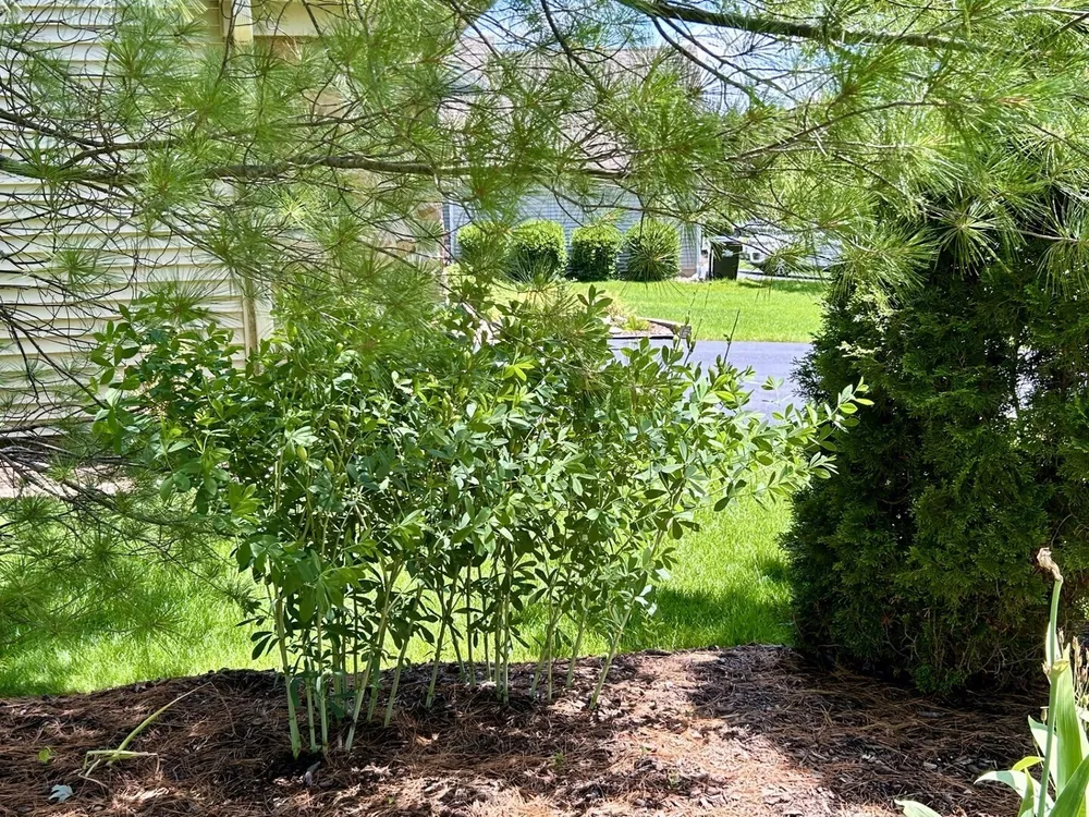 755 Warwick Ct, Lake Zurich, IL 60047