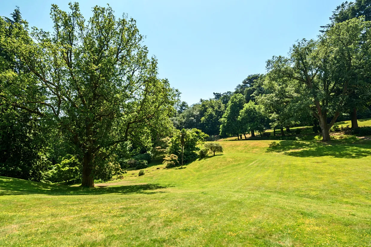 Lythe Hill Park, Haslemere, GU27 photo 11