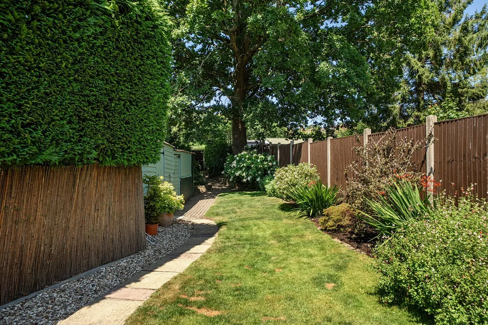 Border Road, HASLEMERE, GU27 photo 12