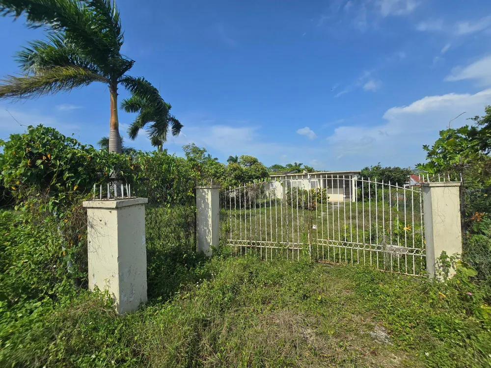 PARADISE AVENUE St. James