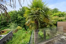 Onslow Gardens London N10 photo 15
