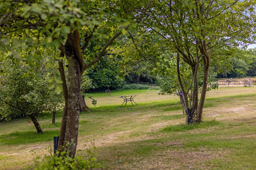 Dinton, Salisbury, SP3 photo 22