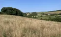 Property image gallery