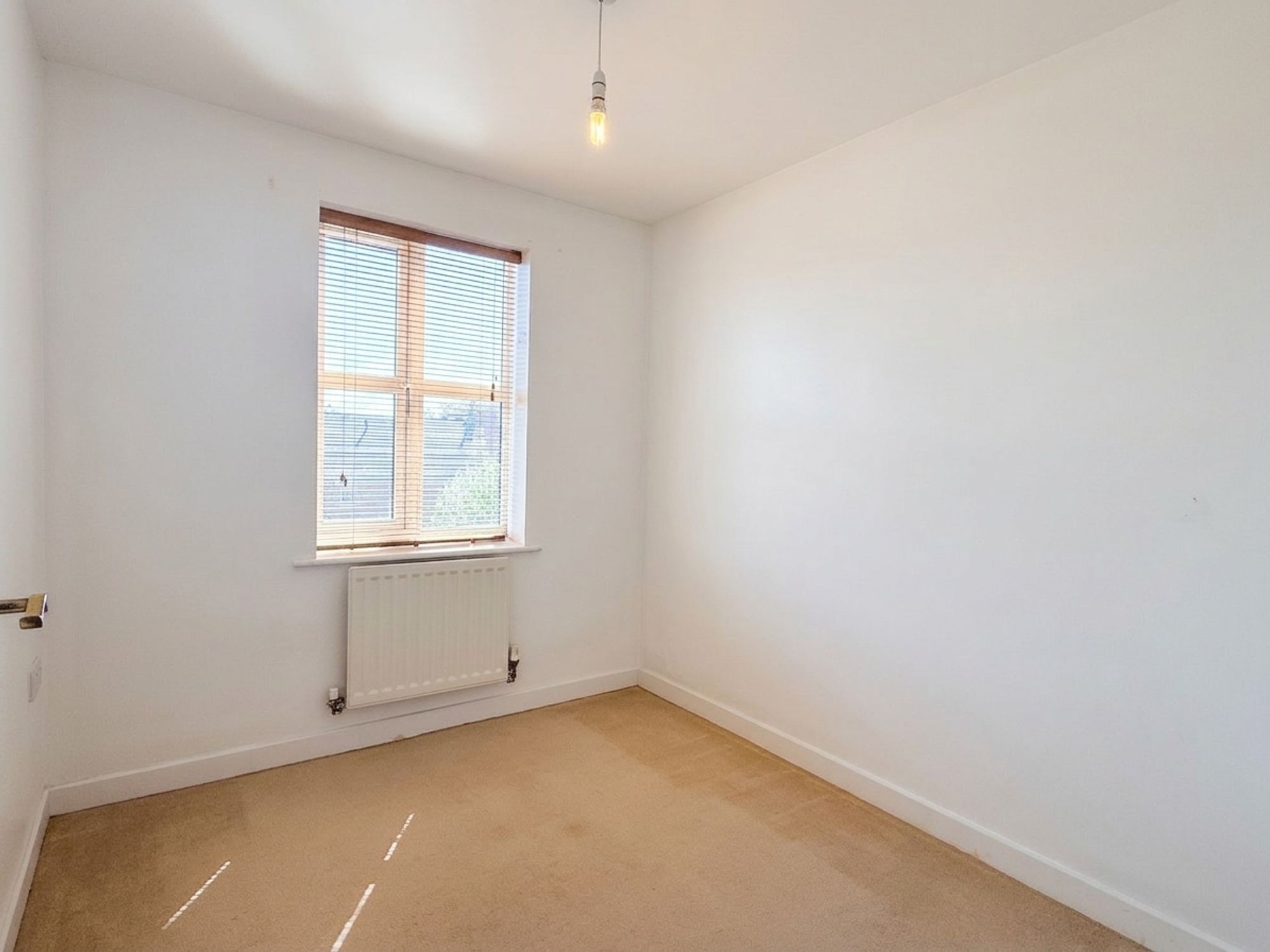 Massingham Park, Taunton Image 10