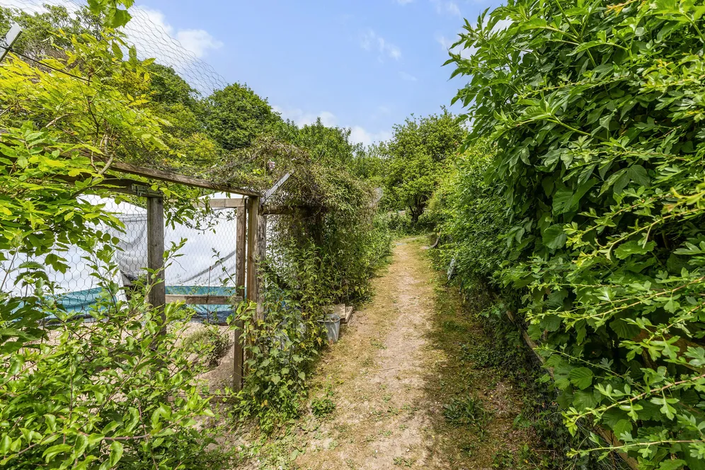 Lower Assendon, Henley-On-Thames, RG9 photo 29