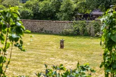 Lower Assendon, Henley-On-Thames, RG9 photo 33
