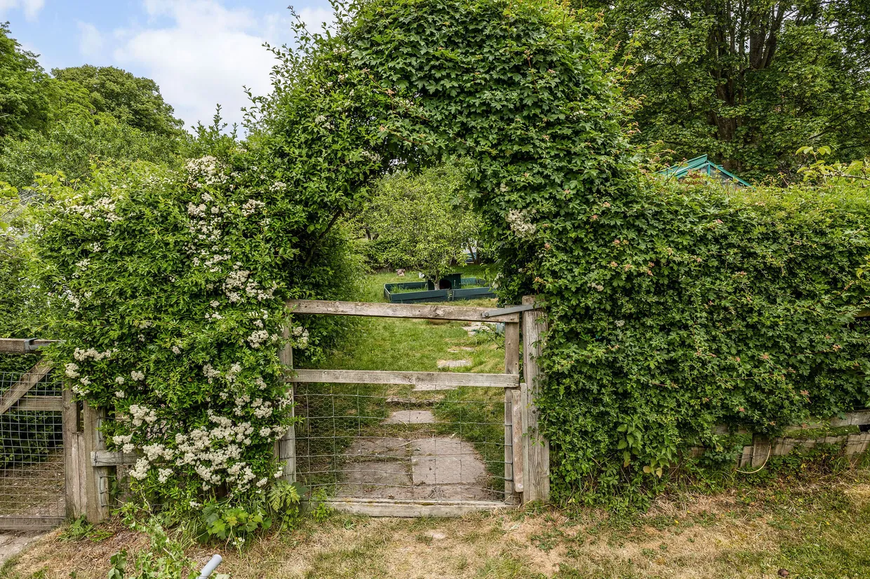 Lower Assendon, Henley-On-Thames, RG9 photo 40