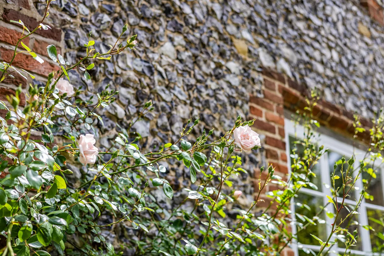 Lower Assendon, Henley-On-Thames, RG9 photo 50