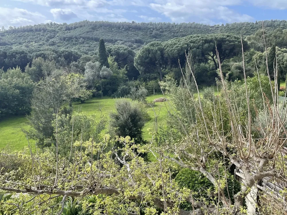 Le Lavandou, 83980, France