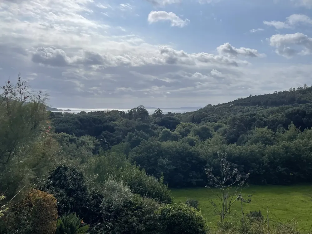 Le Lavandou, 83980, France