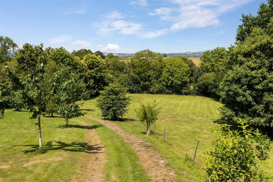 Property Image 34