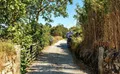 Property image gallery