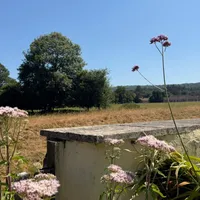 Property 18