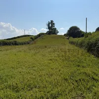Property 26