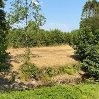 Property 30