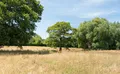 Property image gallery