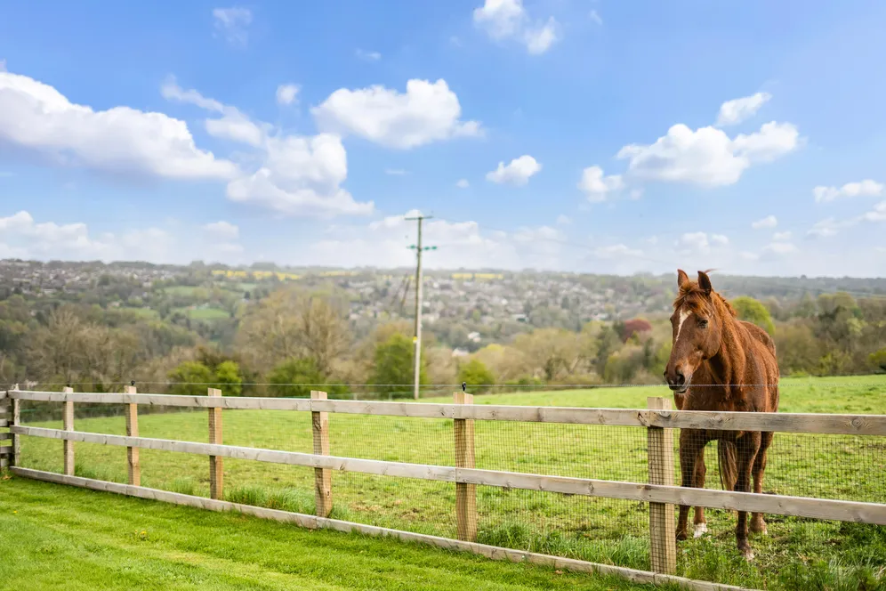Hyde, Chalford, GL6 photo 11