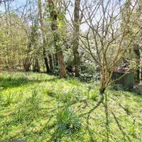 Property 4