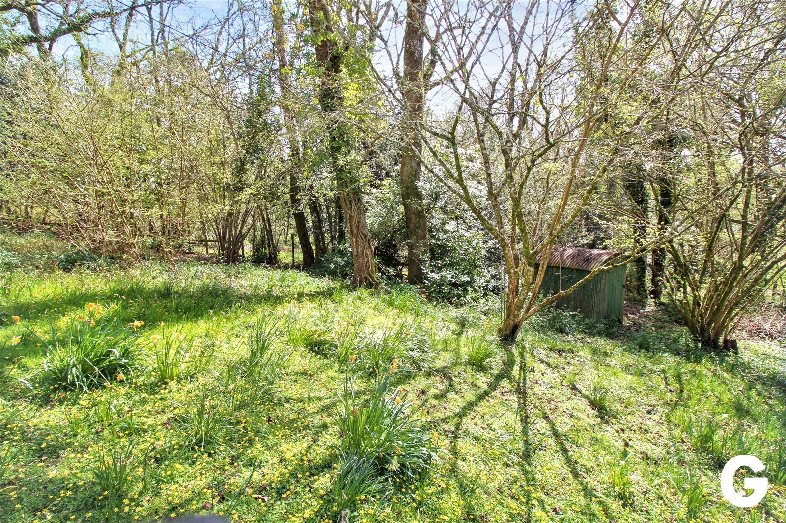 Highwood, Ringwood, Hampshire, BH24 Image 4