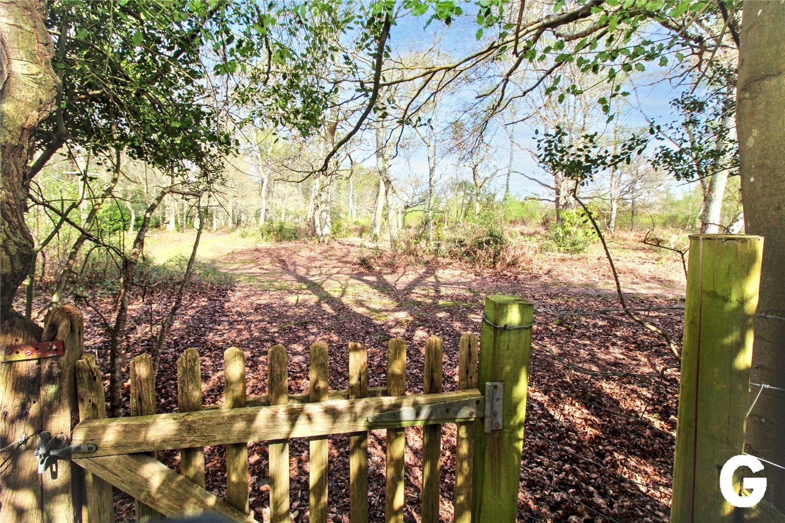 Highwood, Ringwood, Hampshire, BH24 Image 5