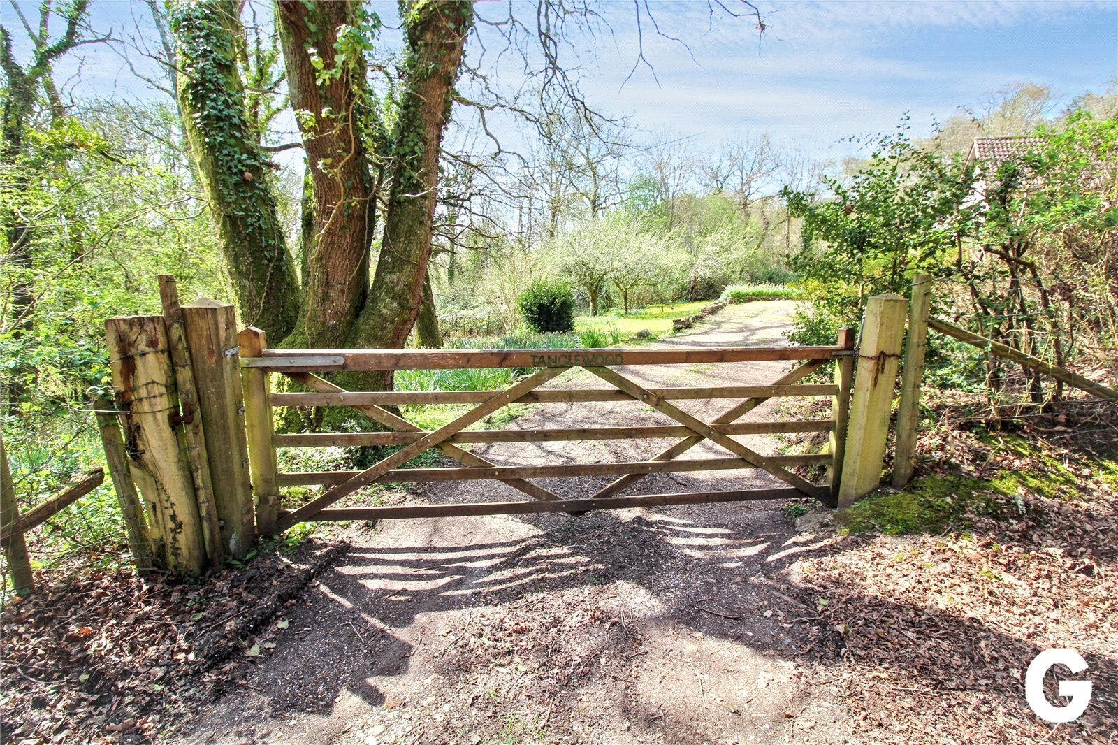 Highwood, Ringwood, Hampshire, BH24 Image 6