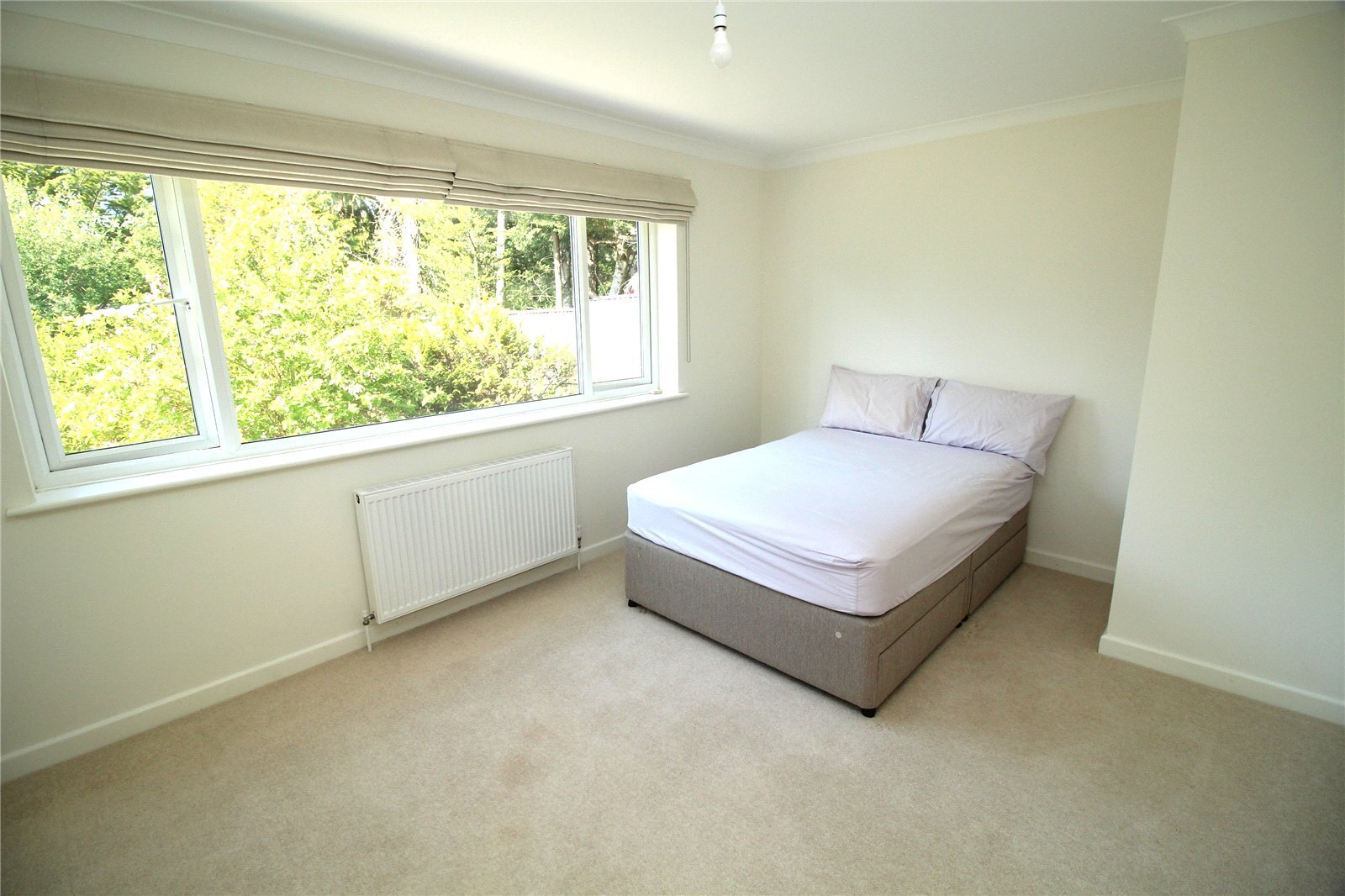 St. Ives Park, Ashley Heath, Ringwood, Hampshire, BH24 Image 14