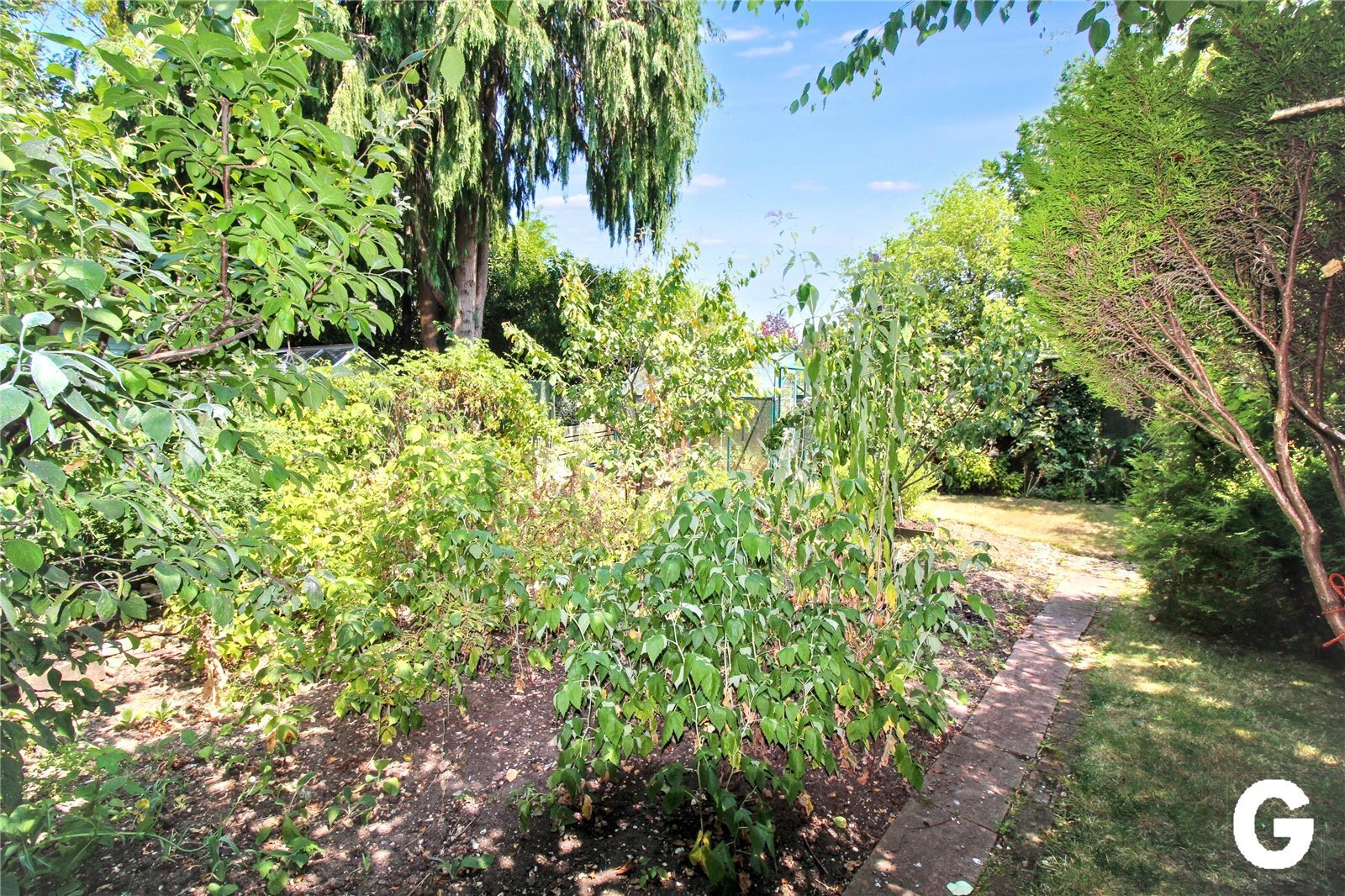 Fairlie Park, Ringwood, Hampshire, BH24 Image 18