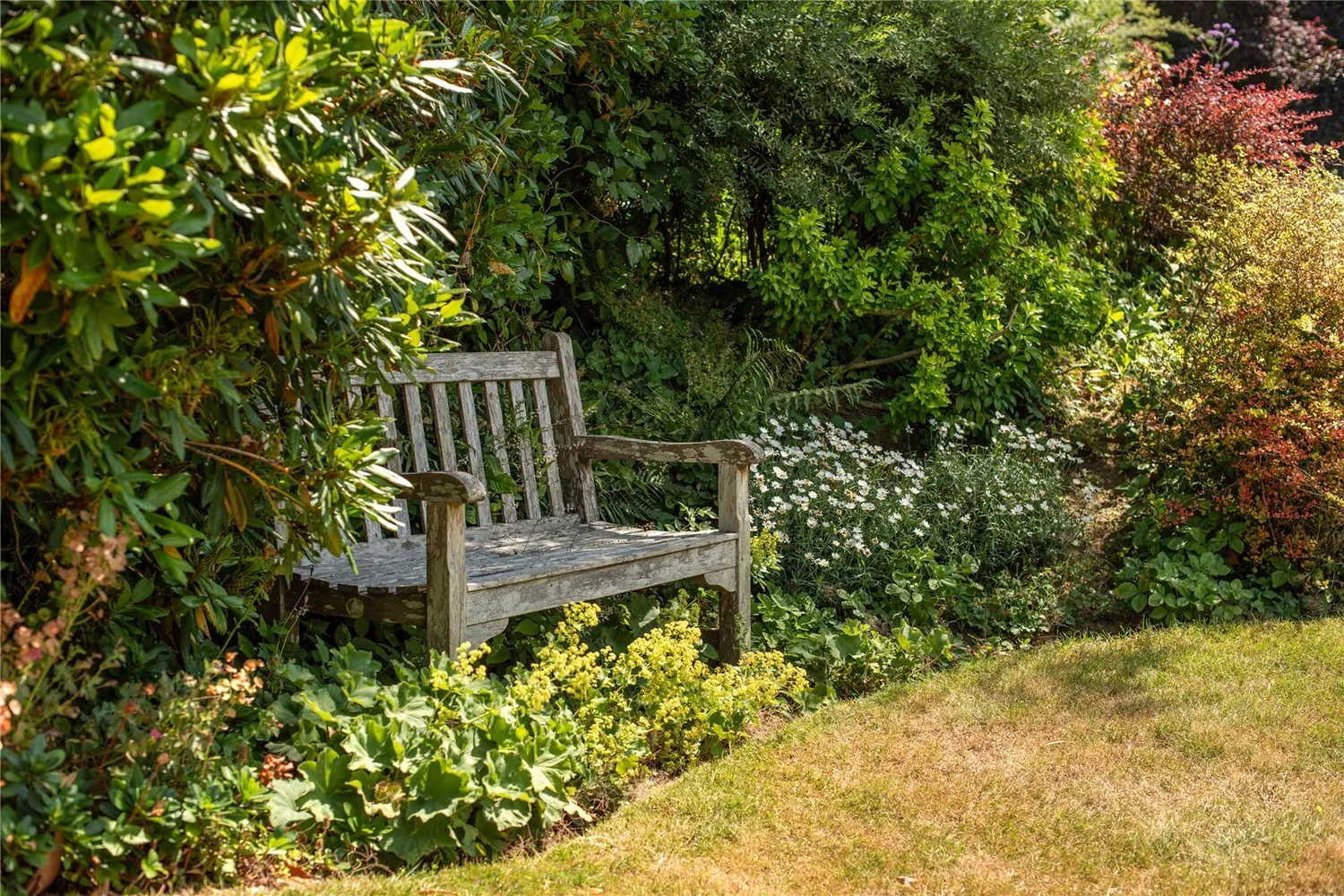 Ladyegate Road, Dorking, RH5 photo 20
