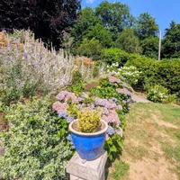 Property 29
