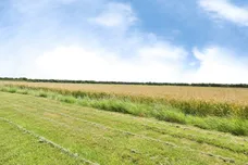 Frampton Roads, Frampton, Boston