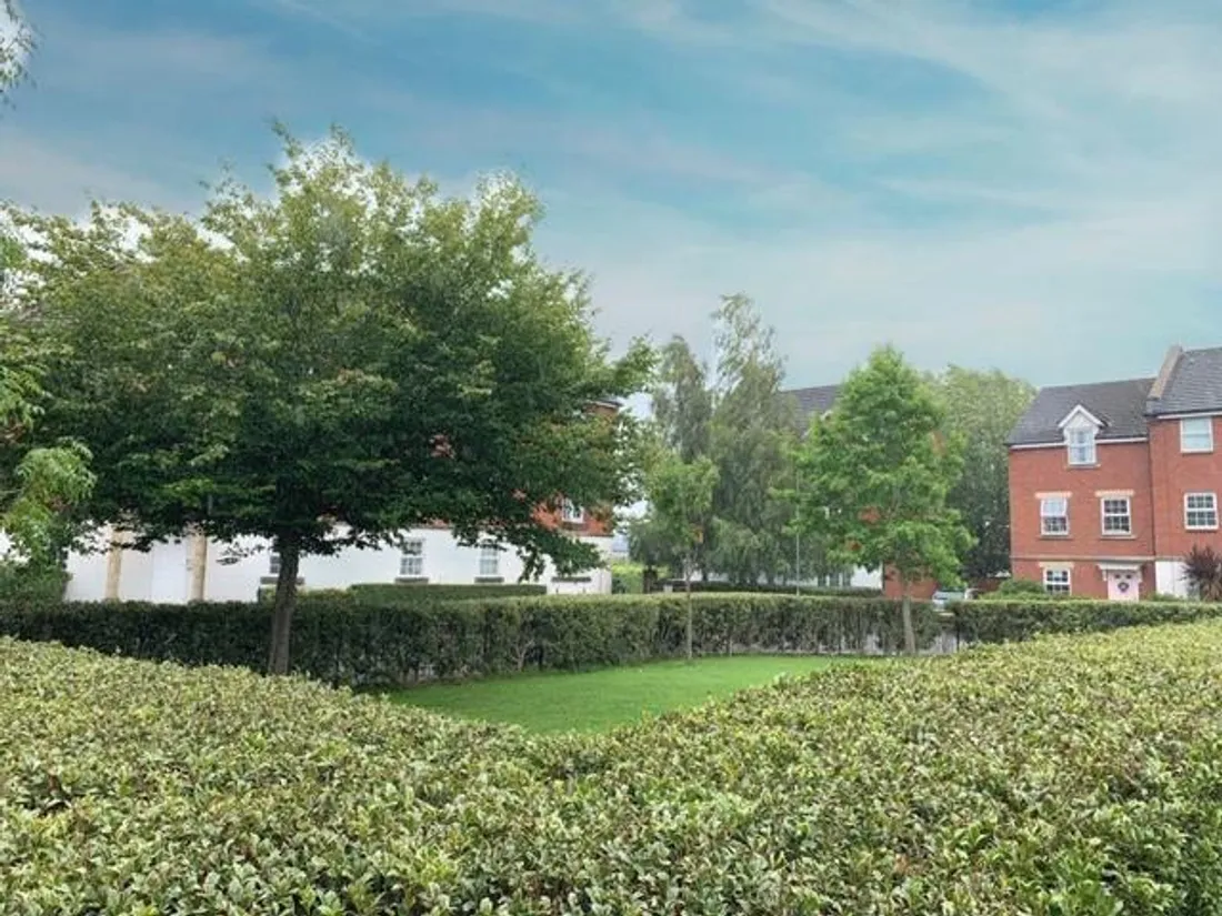 Property photo 13