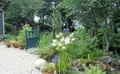 Property image gallery