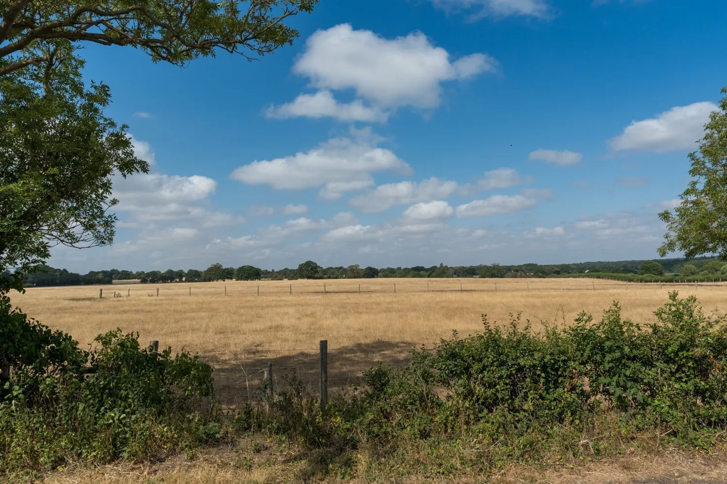 Chapel Road, Fingringhoe, CO5 photo 33
