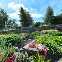 Property 31