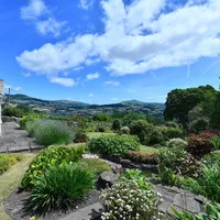 Property 39