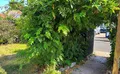 Property image gallery