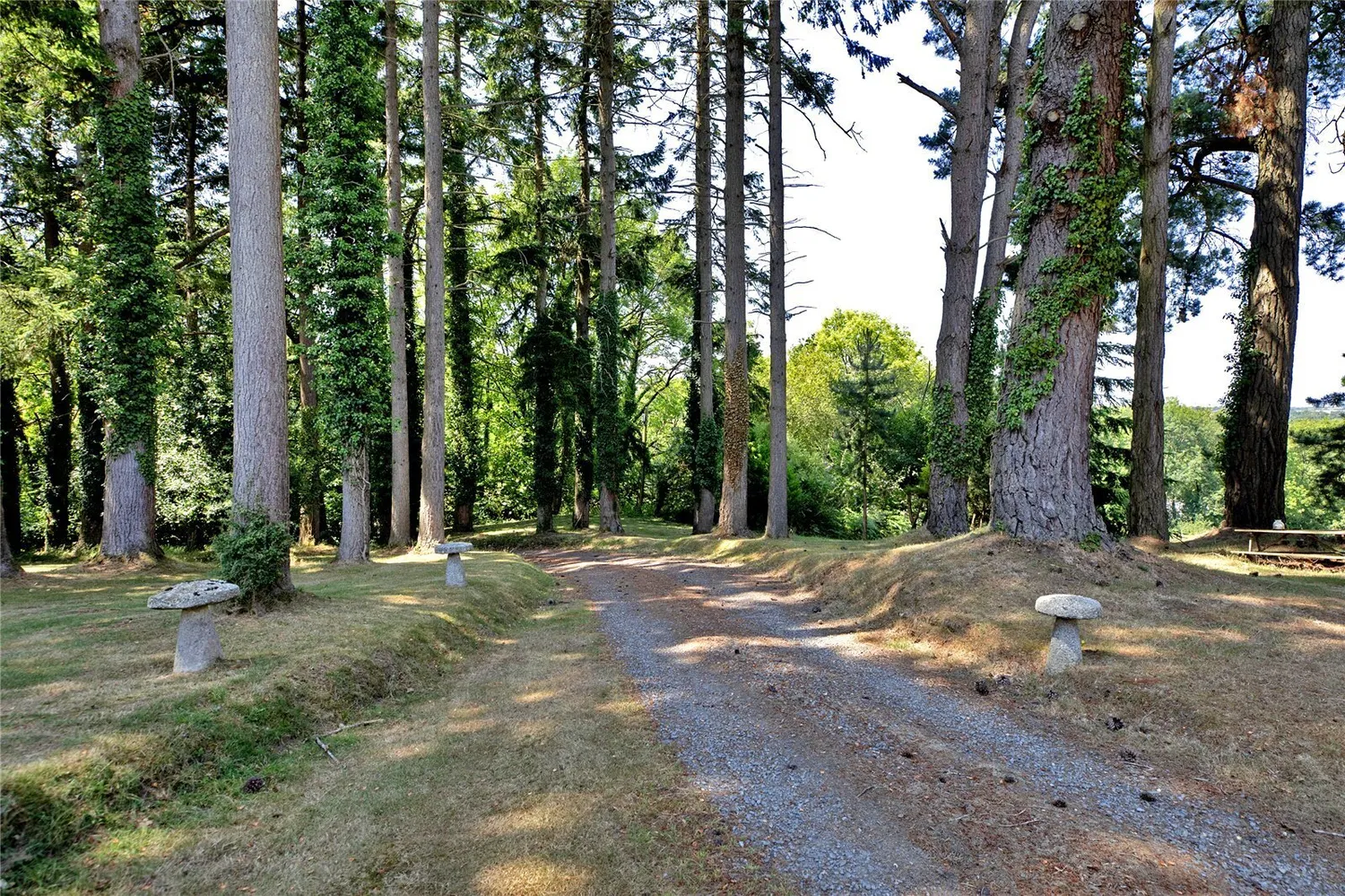 Sticklepath, Okehampton, EX20 photo 25