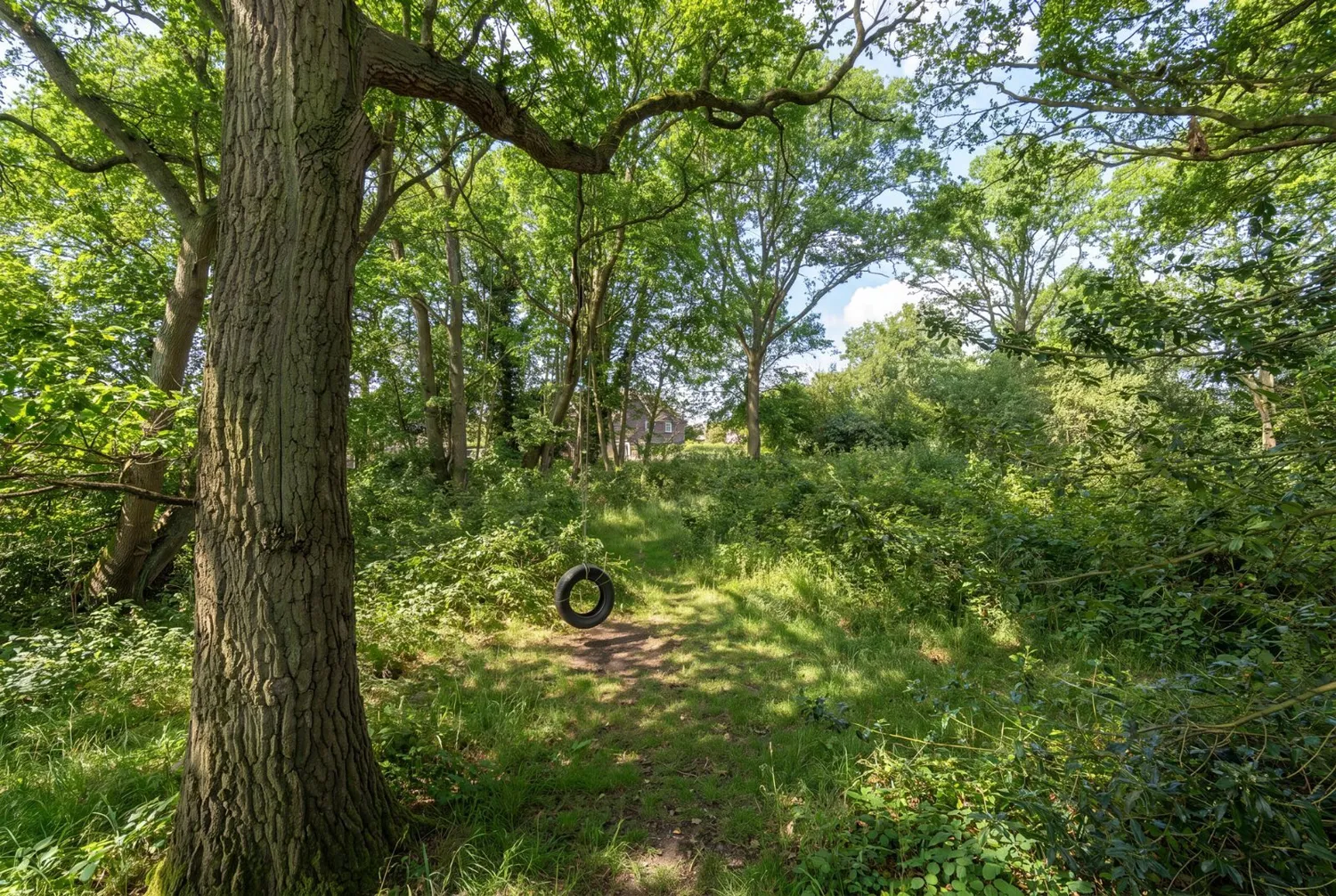 Choats Wood, Fordham, CO3 photo 35