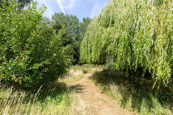 North Barningham Road, Bessingham, NR11 photo 36
