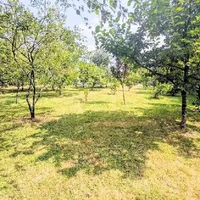 Property 35
