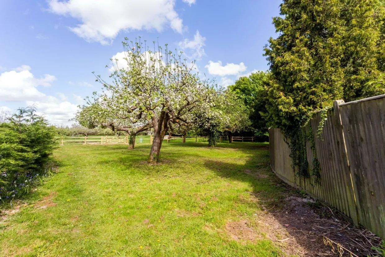 The Green Matfield TN12 photo 8