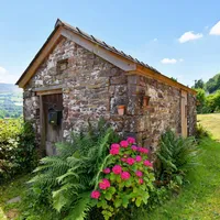 Property 20