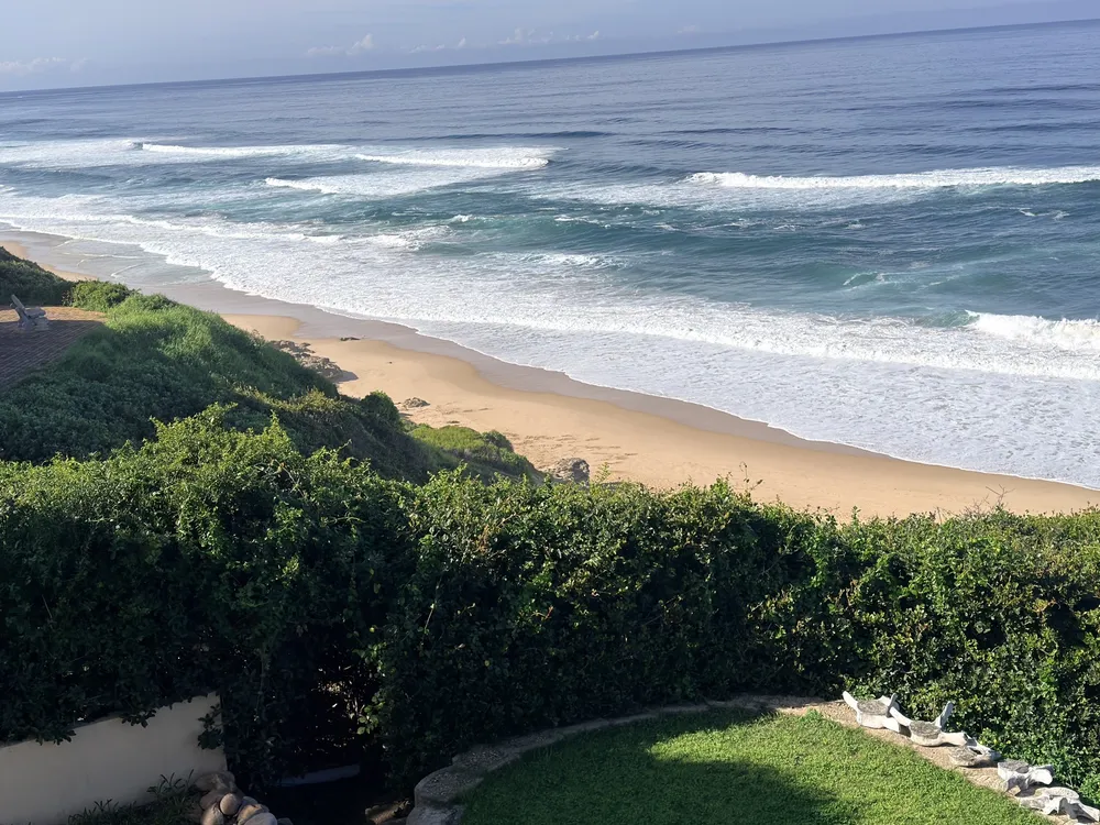 South Africa, Western Cape, Dana Bay, P. Grandiceps Street, 24