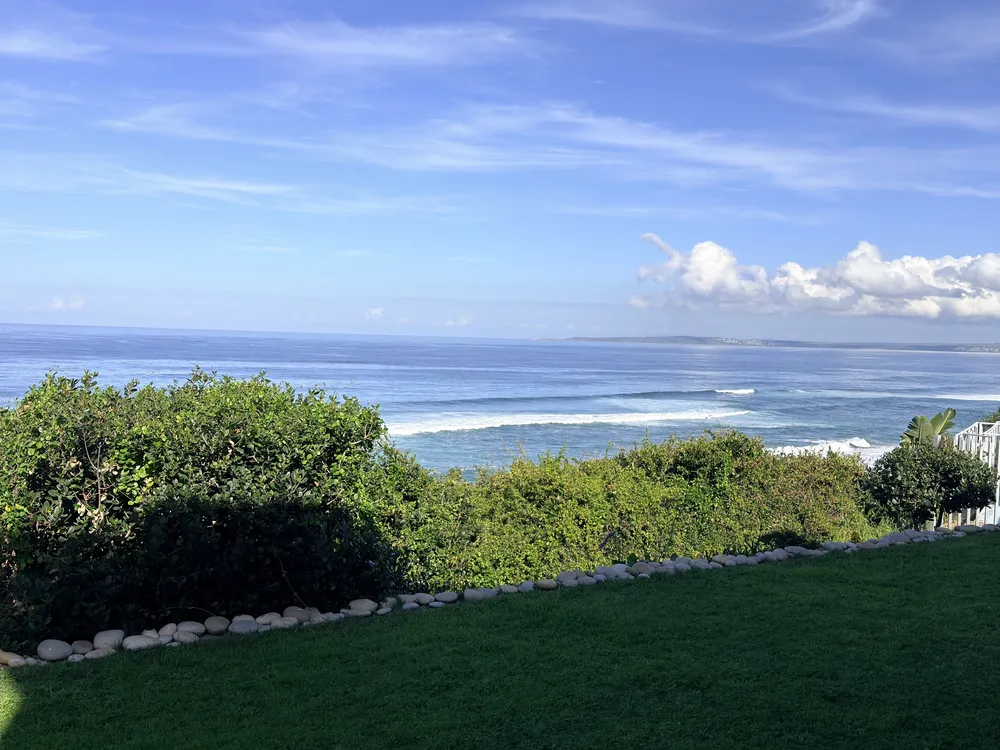 South Africa, Western Cape, Dana Bay, P. Grandiceps Street, 24