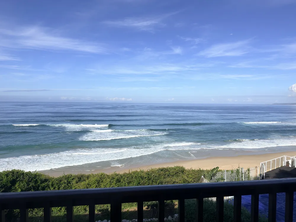 South Africa, Western Cape, Dana Bay, P. Grandiceps Street, 24