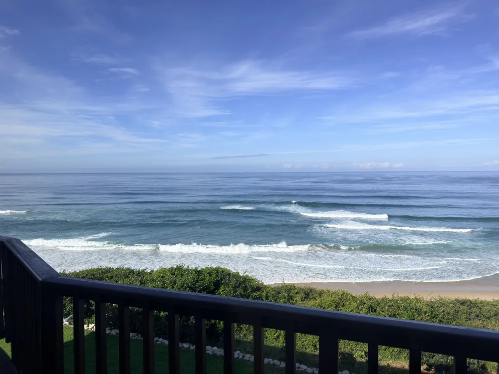 South Africa, Western Cape, Dana Bay, P. Grandiceps Street, 24