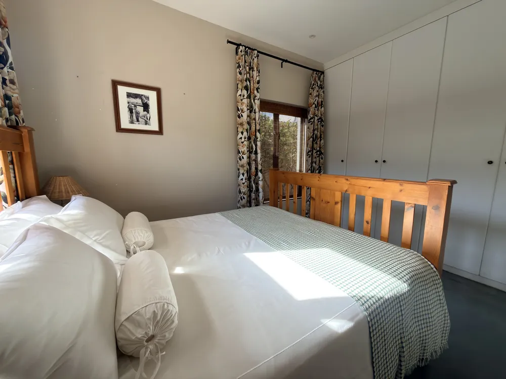 South Africa, Western Cape, Dana Bay, P. Grandiceps Street, 24