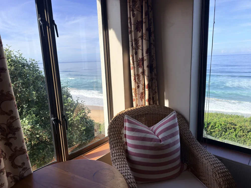 South Africa, Western Cape, Dana Bay, P. Grandiceps Street, 24